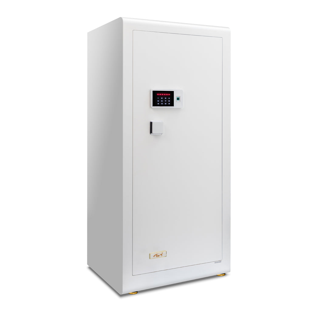 Digital Security Locker NW-KG-345 Thumb + Numeric Access