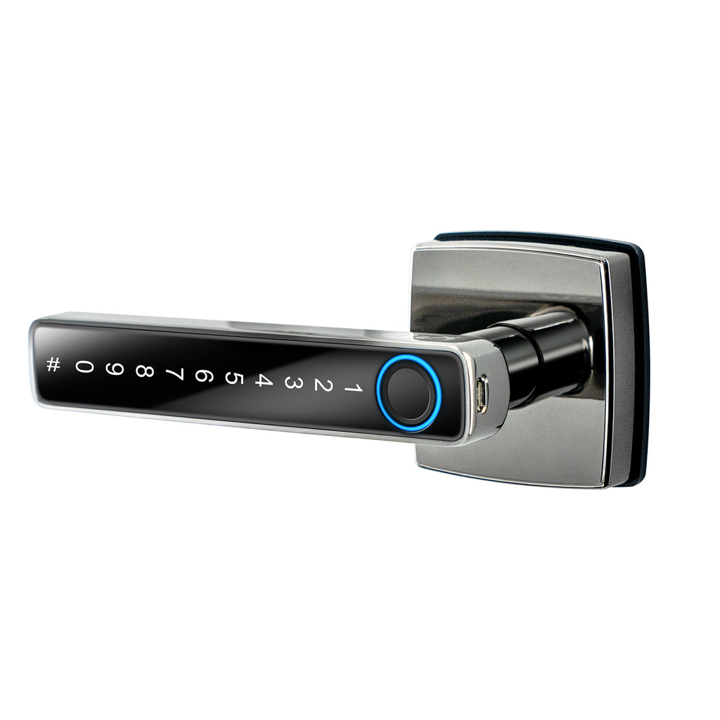Smart Door Lock LK-101 with Fingerprint
